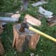 how-to-chop-split-firewood-basics