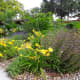 saving-money-with-small-plants