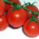 The red pigment in ripe tomatoes could give your stool a red tint.