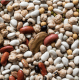 Beans are digested slowly by the body. This stabilizes blood sugar levels which benefits our mood, thus enabling us to overcome the "after special occasion blahs".