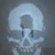 vulture-aid-in-buried-call-of-duty-black-ops-2-zombies
