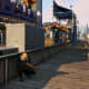 Spot near transformer. Behind the wall near the Roller Coaster.