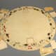 Charles Darrow’s round version of Monopoly, 1933. Currently held by the Strong Museum of Play.