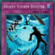 Heavy Storm Duster