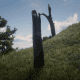 There's not THAT many dead tress on the other side of Face Rock so . . .