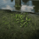 Milkweed (check the swamps of Leymone, but also grows anywhere there's water)