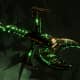 Necron Battle Cruiser - Scythe Ruiner (Nephrekh Sub-Faction)