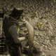 Longnose Gar