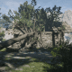 The Homing Tomahawk Pamphlet can be found in this flattened house by Moonstone Pond. The only way to get in is by climbing along this fallen tree.