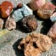 rockhounding-secrets-of-a-rock-hoarder