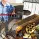 Shoveling gold bearing? dirt into the hopper.