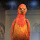 Fawkes is one of many mythical creatures in the &quot;Harry Potter&quot; universe that comes to his aid.