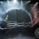 life-after-ringling-when-the-circus-closes-down