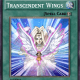 Transcendent Wings