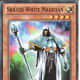 Skilled White Magician