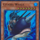 Citadel Whale