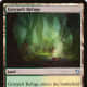 Graypelt Refuge mtg