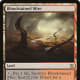 Bloodstained Mire mtg