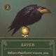 Raven ally card