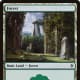 Throne of Eldraine Forest