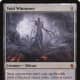 Void Winnower mtg