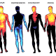 The parts of the body where people feel emotions depend on the emotion.