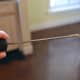Put some glue on the tip of an ice pick, wooden skewer, or toothpick.