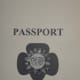 A simple passport, printed on 8x5 x 11 plain paper, folded in half. Inside, a grid for passport stamps.