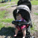 The Baby Trend Double Stroller moves well over grass or mulch, as in this park. 
