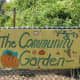 A community garden next to a natural play area