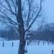 Even on the darkest, coldest, days of winter, my bird feeder is a hopping place.