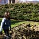 Yard work can be fun when you know you get to jump in the pile of leaves you're creating!