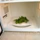 Place small bunch of herbs in the microwave on a paper plate- a paper napkin is a bad idea...