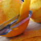Peeling the oranges, avoiding the white pith.