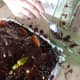 Use left over cake or crumbled cookies to fill in "dirt" over the aluminum foil.
