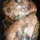 Chicken picatta prepped and ready for storage in the Plastic House bento container.