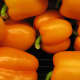 Orange Bell Peppers