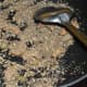 This is how the mix looks after sauteing.