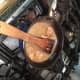 roasted-chicken-with-a-wreath-of-sauted-apples-and-a-sauce-of-fruit-zests-and-honey-french-recipe