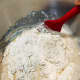Mix the ingredients with a spatula to form a rough dough.