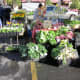 Get your fresh veggies