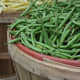Freshly harvested green beans