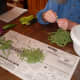 Snap the green bean ends, and remove strings as necessary. Discard any discolored, soft, or otherwise faulty beans.