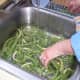 how-to-can-green-beans-using-a-pressure-canner