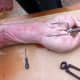 roasting-a-pig