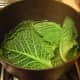 Boil the cabbage leaves.