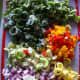 A sample of what goes into the salsa: red onion, sweet onion, banana peppers, green peppers, red peppers, orange peppers, yellow peppers, and celery