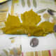 Cover the filling with the bottom of the leaf, working away from you. NOTE: Make sure that none of the filling is showing as you roll. If the filling is exposed in your finished sarma, it will fall apart during the cooking process.