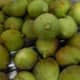 Fresh figs from the garden