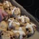 After the second raise, just before baking - putting the crosses on.
